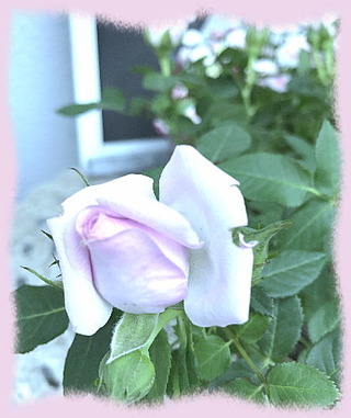 10mai17a