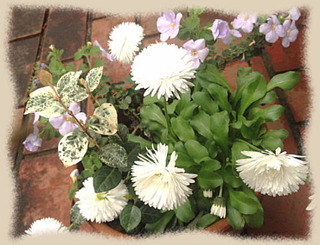 9mai14d