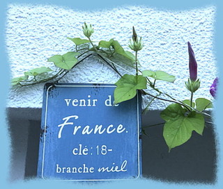 25juillet17f