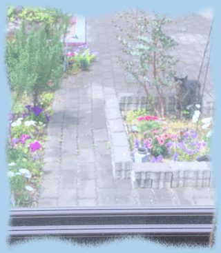 4mai19b