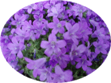 8b854254.gif
