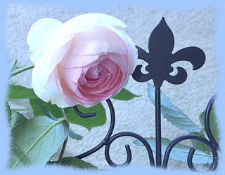 22mai16a