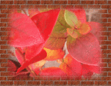 21nov08a