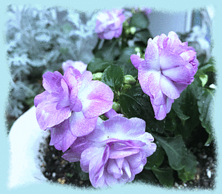 16mai17a