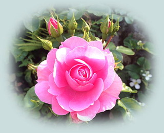 30mai14d