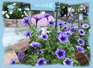 15aout17c