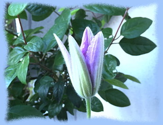 7mai16a