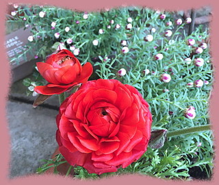 22mars15i