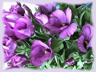 17mai17c