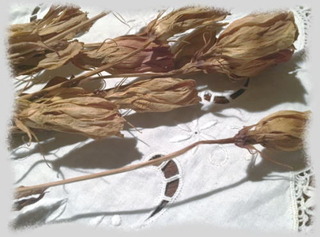 18aout16g