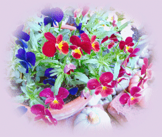7avril18d