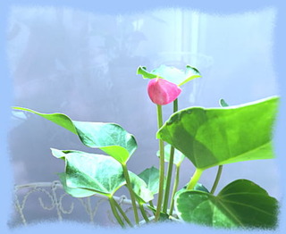 1nov15b