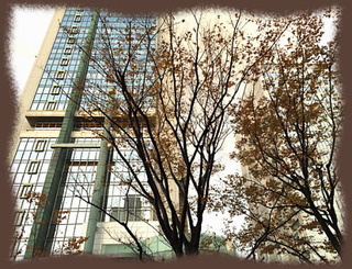 30nov14i