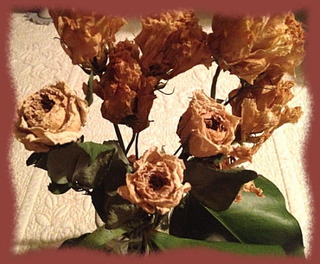 17mai14d