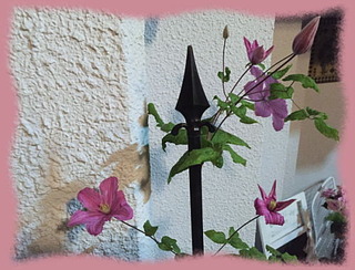 30mai15a