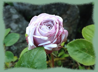 9mai13c