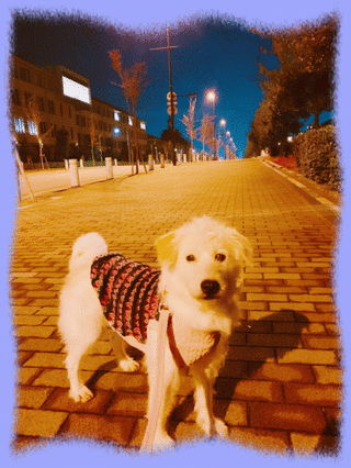 23jan19b