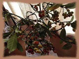 14dec13f