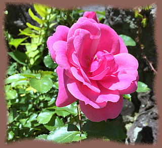 13mai15o