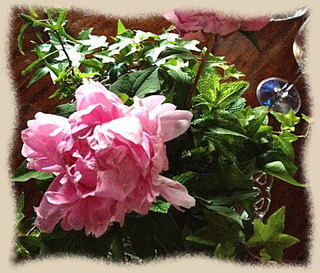 29mai14d