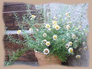 18mai13c