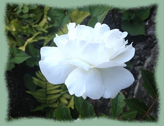 25mai13a