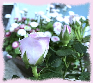 10mai17b