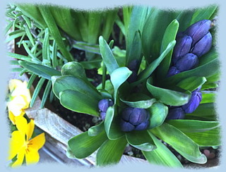 2avril15c