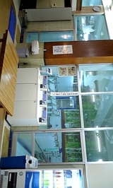 530a1dcf.jpg