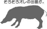 99b5868b.gif
