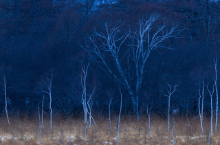 20120115_093-2