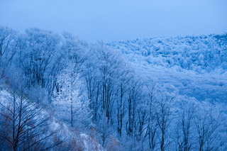 20111116_332