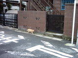 ken070429