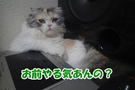 SAO やる気