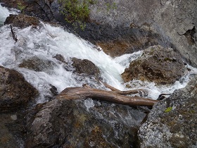 P1020390