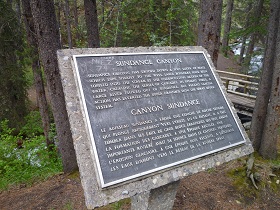 P1020377