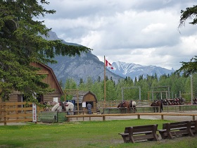 P1020351