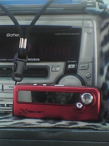 5241085a.jpg