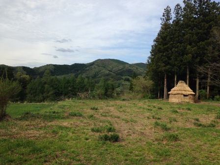 デンデラ野