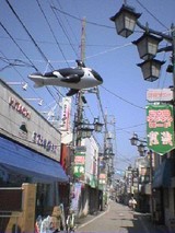 c1dd9866.jpg