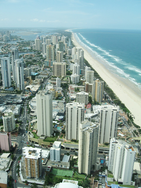 view