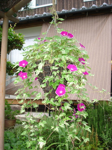 DSC09172