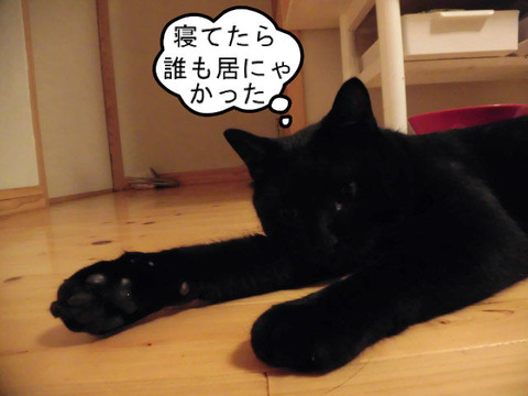 BlogPaint