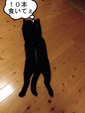 BlogPaint