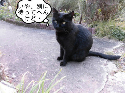 BlogPaint