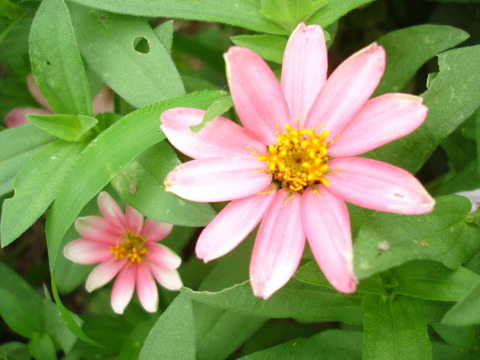 DSC09164