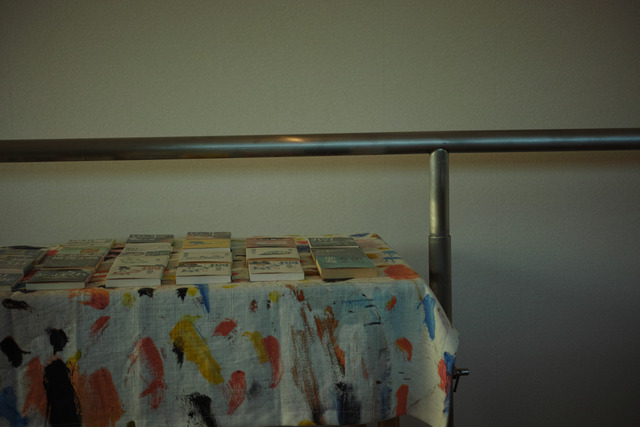 SDIM0013