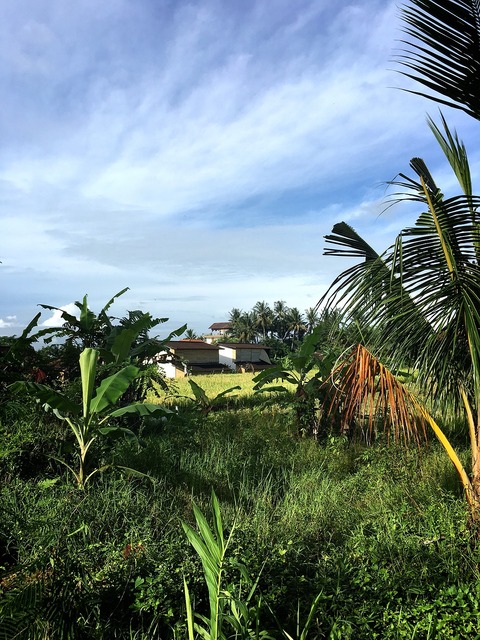 S__20963360