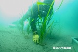 uetuke_6