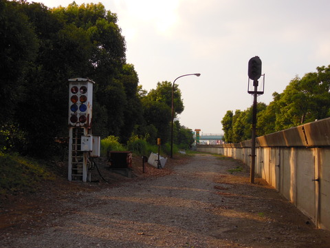 DSCN7384